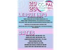 VOLLEYBALL LEAGUE SIGN UP